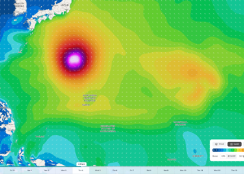 Dolphin Swimming Into Super Typhoon Territory
