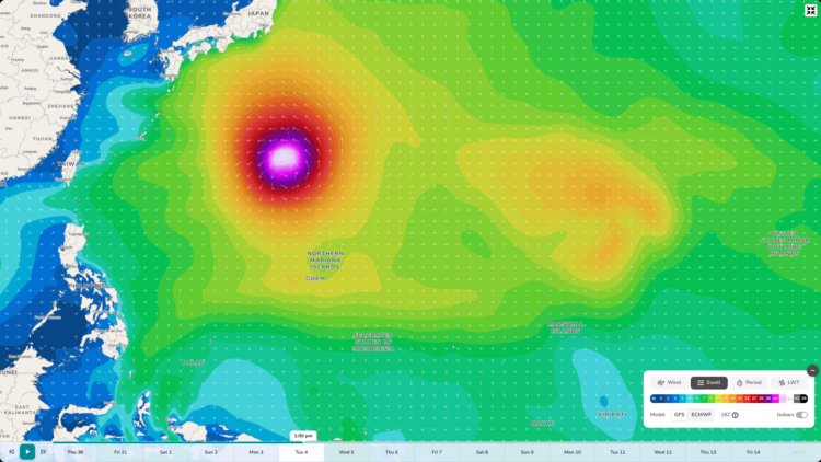 Dolphin Swimming Into Super Typhoon Territory