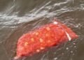 Dozens dead after passenger boat capsize Guyana – the True Time