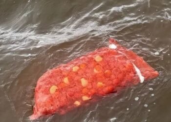 Dozens dead after passenger boat capsize Guyana – the True Time