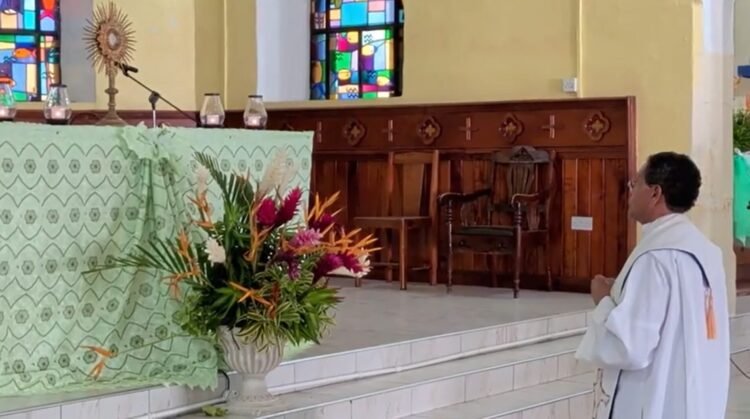 LIVE: 38th Ordination Anniversary Mass of Father Elveau Augustine at St. Mark Parish Dominica