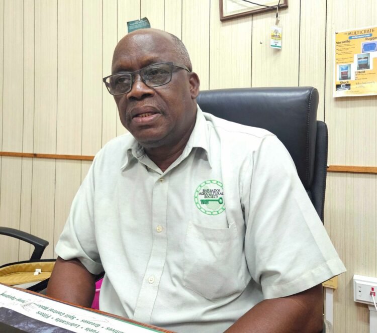 Producers ‘struggle to sell’ as storage limits, imports bite