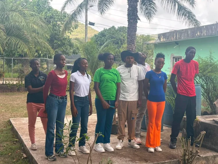 Agriculture Summer Internship Programme Gives Students Hands-On Experience at Green-castle Agricultural Station