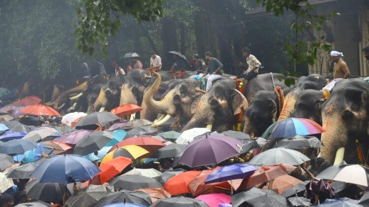 Thousands brave torrential rain to witness iconic Aanayoottu ritual at temple in Kerala’s Thrissur