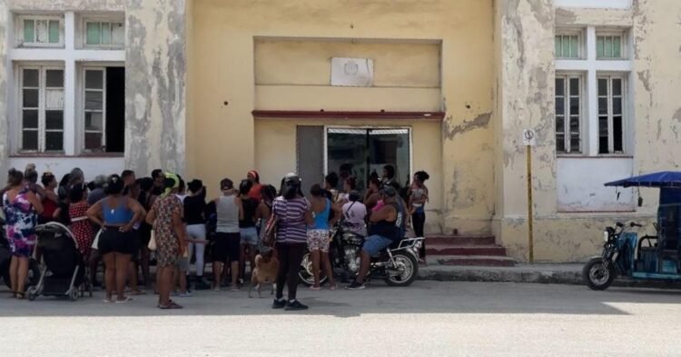 Protests: Rule is planted before the municipal government