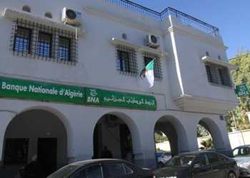 Appointment of Mustafa Ben Alqma as Director General of the National Bank of Algeria – Al-Shorouk Online