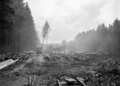 Construction of Zurich Airport began 80 years ago