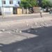 Protests: Neighbors of Luyanó block a street due to lack of water