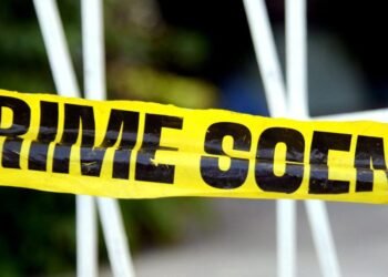 Farmer charged with murder after bus driver killed with pitchfork in Old Harbour | News