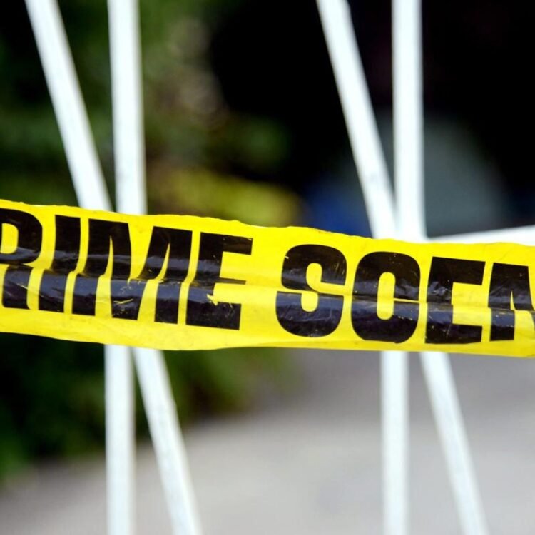 Farmer charged with murder after bus driver killed with pitchfork in Old Harbour | News