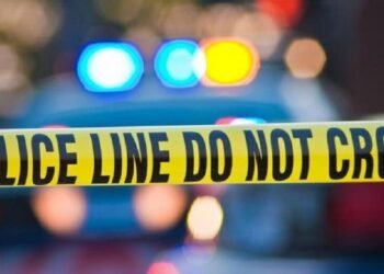 The CDPF are investigating skeletal remains found in Castle Bruce