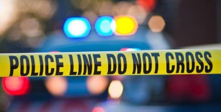 The CDPF are investigating skeletal remains found in Castle Bruce