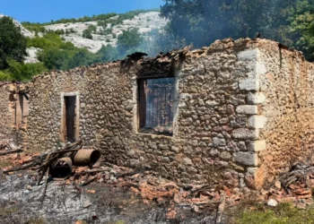 Tragic event in Shkodër, it is suspected that the 24-year-old mother died together with her two small children after the fire engulfed the house