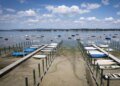 Water level of Lake Constance falls to record low