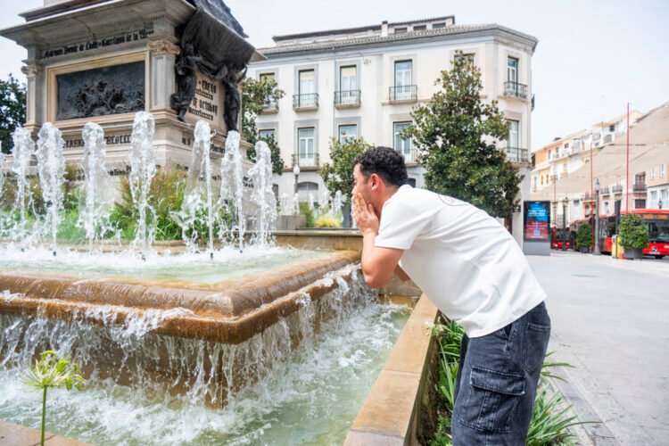 Heat wave in Spain: up to 44 °C predicted this Thursday