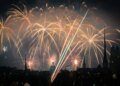 Swiss study shows birds continue to suffer for days after fireworks
