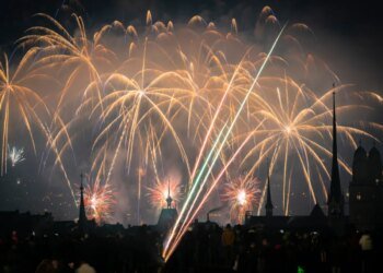 Swiss study shows birds continue to suffer for days after fireworks