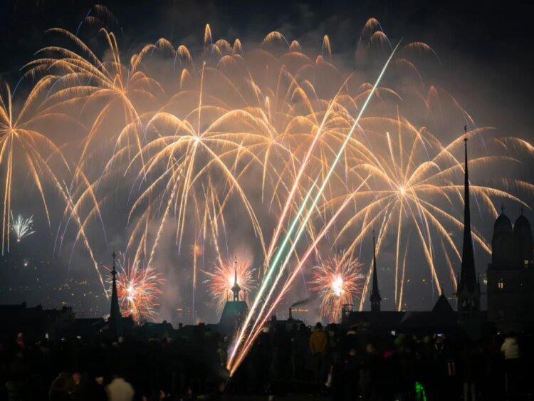 Swiss study shows birds continue to suffer for days after fireworks