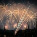 Swiss study shows birds continue to suffer for days after fireworks