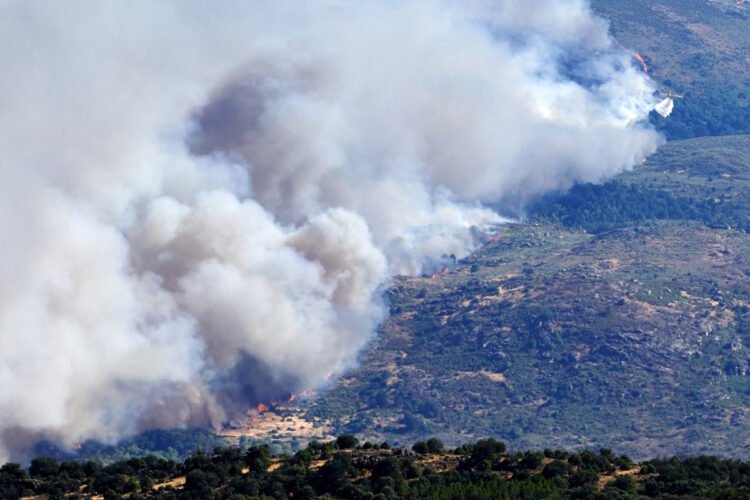 Forest fires forced the evacuation of more than 40,000 people in Madrid