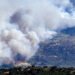 Forest fires forced the evacuation of more than 40,000 people in Madrid
