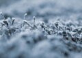 Meteorologist announced risk of snow in several departments of Uruguay: the details