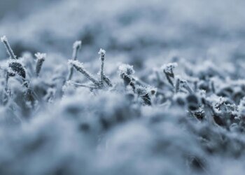 Meteorologist announced risk of snow in several departments of Uruguay: the details
