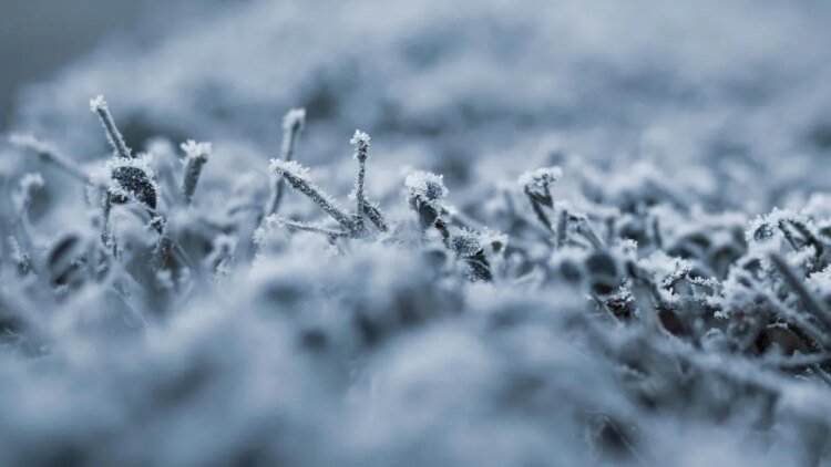 Meteorologist announced risk of snow in several departments of Uruguay: the details