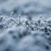 Meteorologist announced risk of snow in several departments of Uruguay: the details