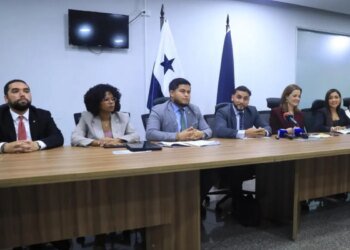 Vamos proposes to reform the electrical system before renewing concessions in 2028