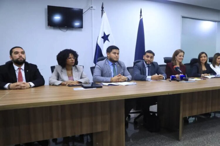 Vamos proposes to reform the electrical system before renewing concessions in 2028