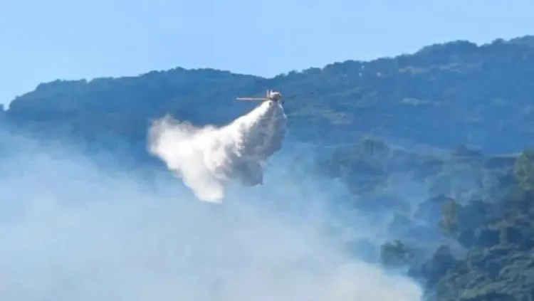Annaba: Air support with three aircraft to extinguish a fire in Bouqentas
