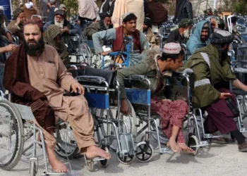 Ensuring the rights and social integration of the disabled and orphans is the responsibility of the Islamic Emirate