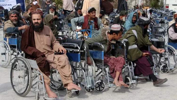 Ensuring the rights and social integration of the disabled and orphans is the responsibility of the Islamic Emirate