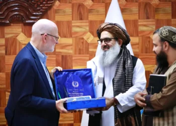 A meeting was held between the officials of the Ministry of Public Health and the delegation of the World Health Organization