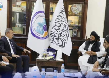 The Minister of Mines and Petroleum met with the Ambassador of Turkmenistan in Kabul