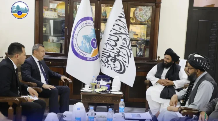 The Minister of Mines and Petroleum met with the Ambassador of Turkmenistan in Kabul