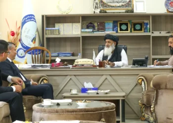 Trade and transport cooperation between Afghanistan and Turkmenistan were discussed