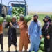 In Logar, the area under watermelon cultivation has increased by almost 25 percent this year