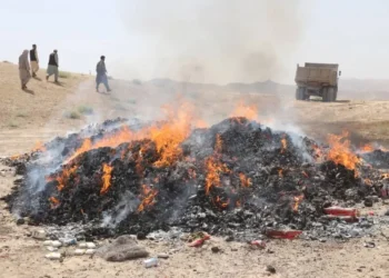 Three tons of low-quality food and non-food items were burnt in Baghlan