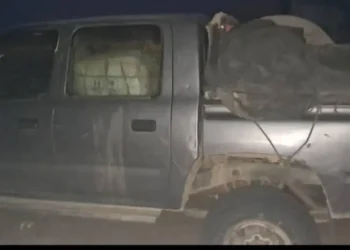 In Nimroz, the smuggling of nearly one ton of medicines was prevented