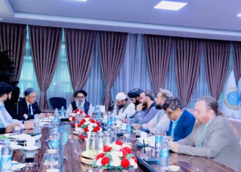They discussed the development and support of health services in Afghanistan