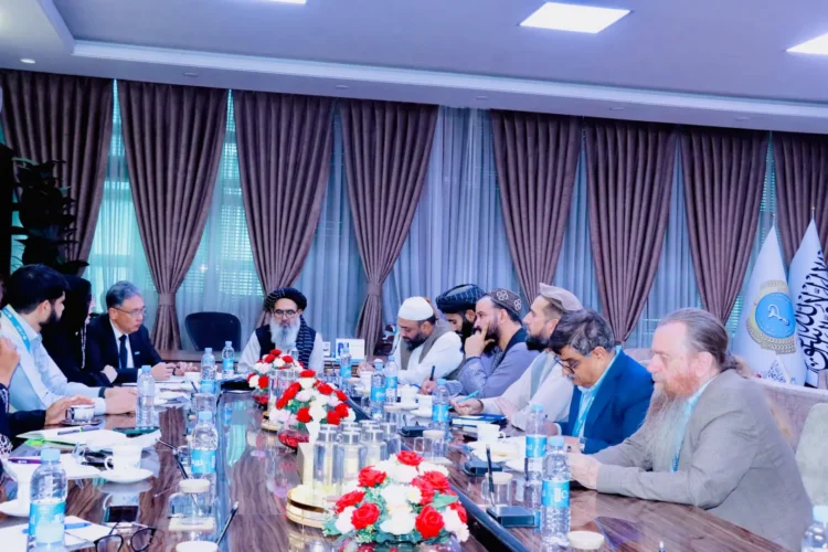 They discussed the development and support of health services in Afghanistan
