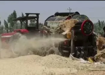 The harvest of wheat in Logar has increased by 12 percent compared to last year