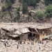 Mujahid: The relevant bodies are working to save the lives and property of the rest of the people in Nooristan