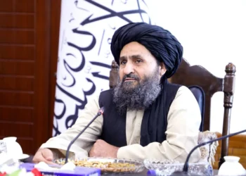 13 projects have been approved at a cost of about 1.3 billion Afghanis