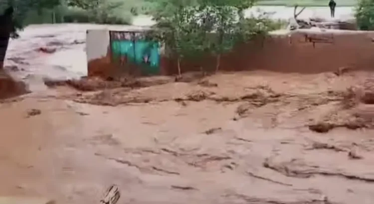 The floods in Logar have caused heavy financial losses to the people