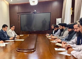 Kabul and Tashkent are expanding cooperation in the field of medicine