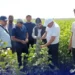 Uzbek experts visited the cotton fields of the Silver Emirate Company