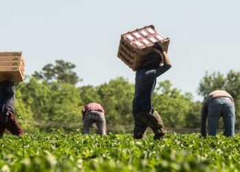 EDITORIAL: Modern-day slavery in migrant labour markets